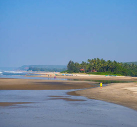 Serene wide beach with shallow shoreline and palm trees in the distance.