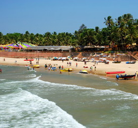 Vibrant beach with tourists, water sports activities, and palm tree