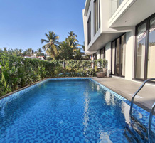 Serene private swimming pool beside contemporary villa with palm trees in background