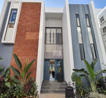 Stylish modern villa with tall façade, large windows, and tropical plants