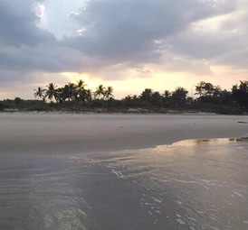 Calm beach with soft waves and palm trees during a cloudy sunset