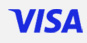 Visa secure payment