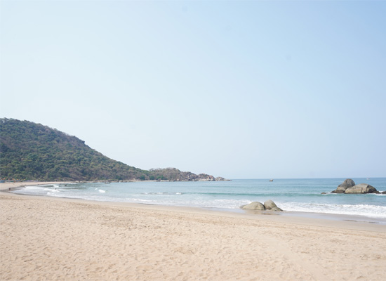 Sandy coastline at Agonda Beach, Goa