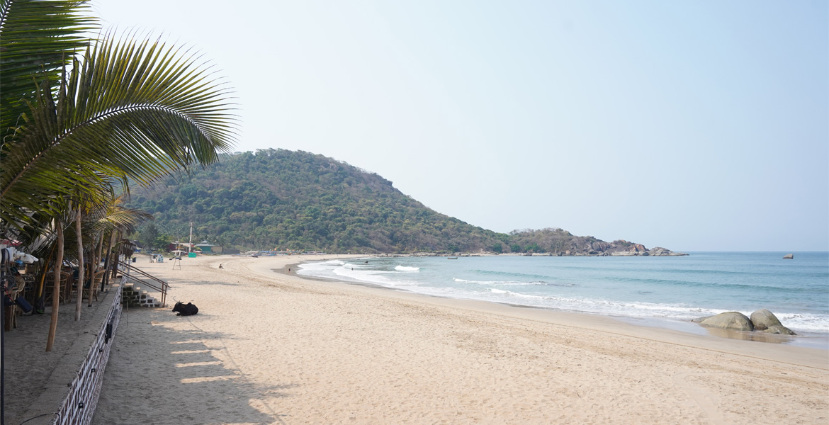 Quiet sandy curve of Agonda Beach with palm trees and ocean waves in South Goa