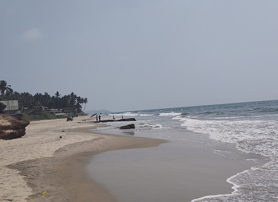 Scenic coastal view of Ashwem Beach in Goa with sandy shoreline, sea waves, rocky edges, and palm trees.