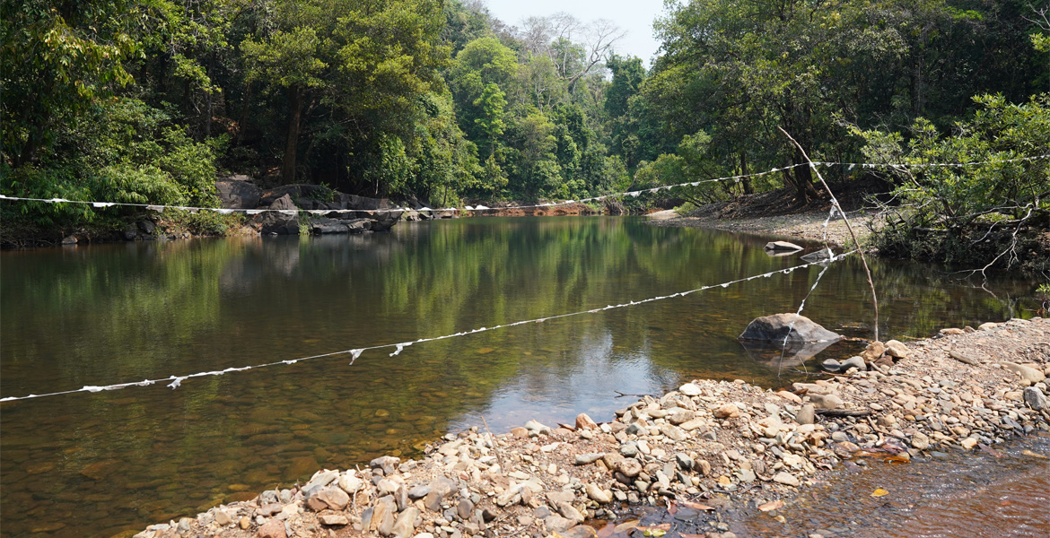 Clear forest stream flowing through Bhagwan Mahavir Wildlife Sanctuary surrounded by lush tropical trees in Goa