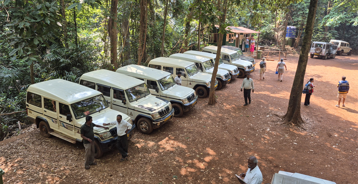 Jeep safari vehicles parked at the Bhagwan Mahavir Wildlife Sanctuary entrance for wildlife tours in Goa