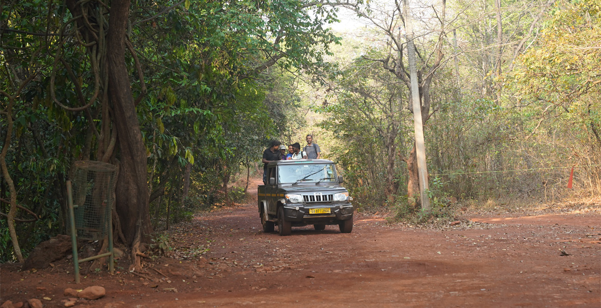 Jeep safari at Bhagwan Mahavir Wildlife Sanctuary Goa