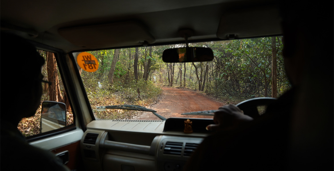 Jeep safari trail at Bhagwan Mahavir Wildlife Sanctuary Goa