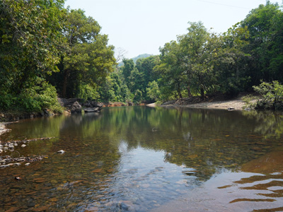 Crystal-clear river flowing through Bhagwan Mahavir Wildlife Sanctuary surrounded by dense tropical forest in Goa