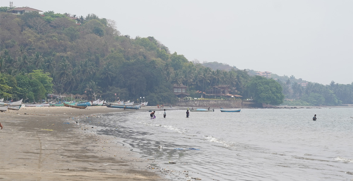 Coastline at Coco Beach Goa