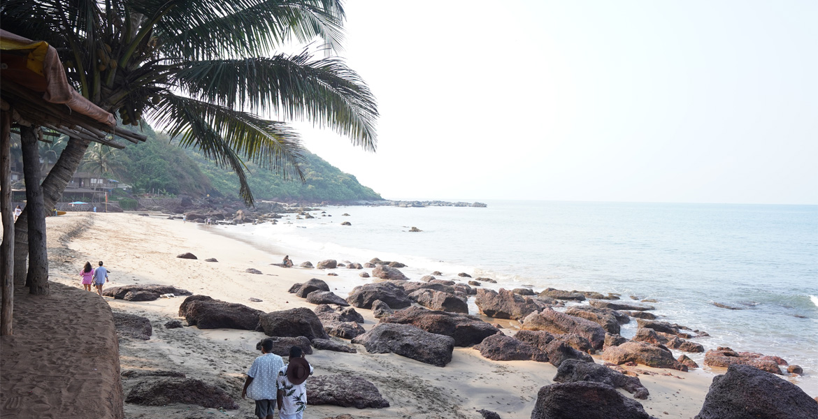 Palm trees and rocky shore at Cola Beach, Goa