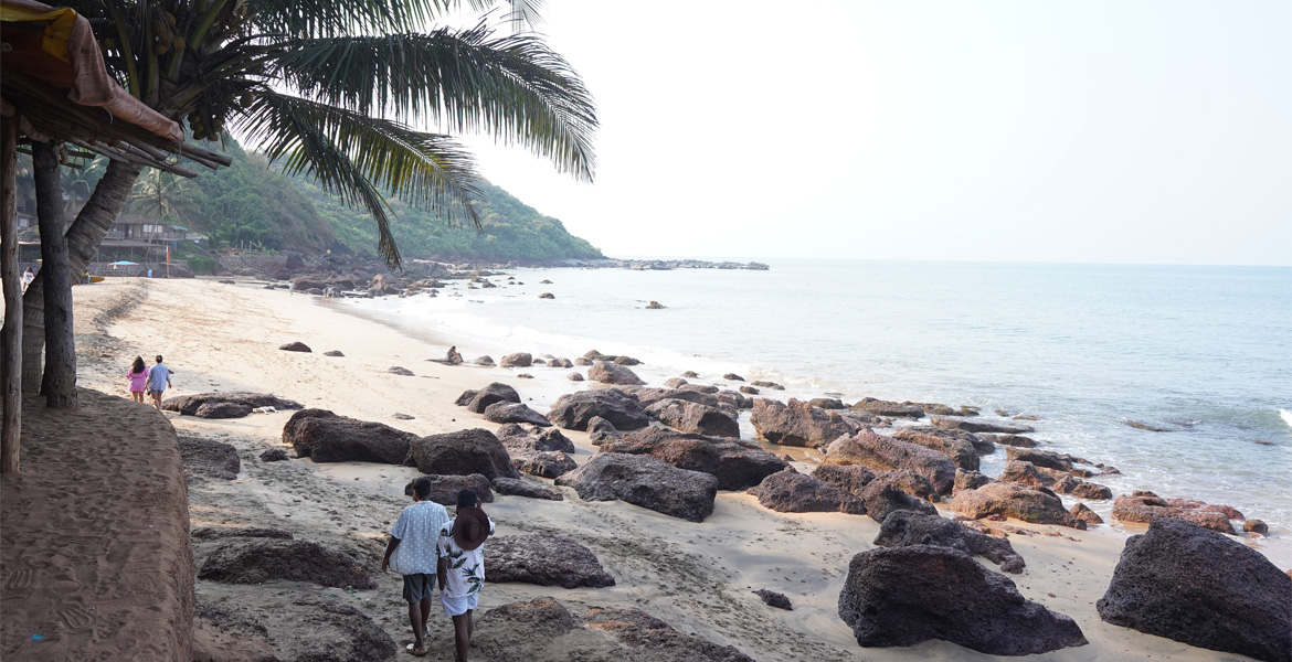 Rocky coastline with palm trees at Cola Beach, Goa