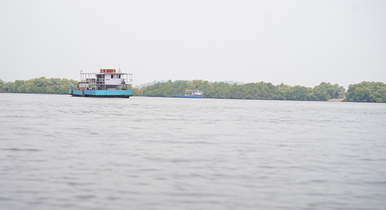 River view near Divar Island in Goa with ferry boats and mangrove shoreline