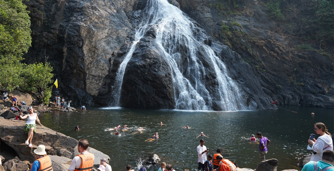 Visitors swimming in the natural pool at the base of Dudhsagar Falls surrounded by towering rocky cliffs in Goa