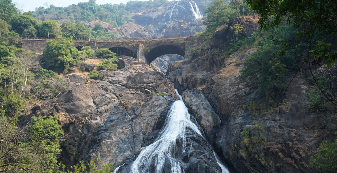 Close view of Dudhsagar Falls and the iconic railway bridge surrounded by lush forests in Bhagwan Mahavir Wildlife Sanctuary, Goa