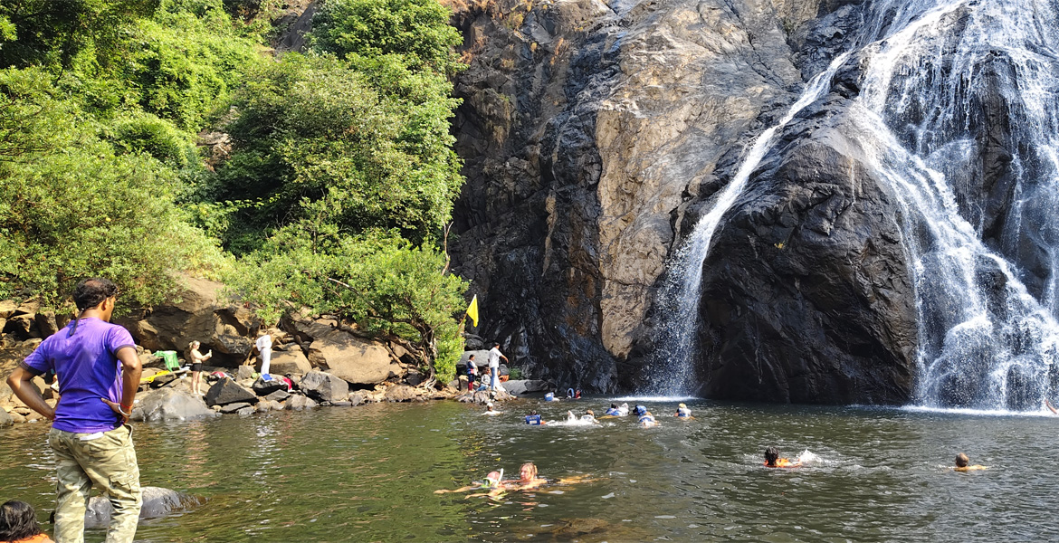 Swimming at Dudhsagar Falls, Goa