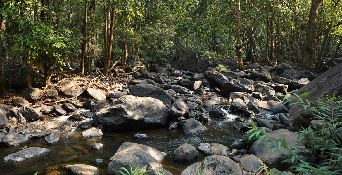 Rocky stream on the walk to Dudhsagar Falls