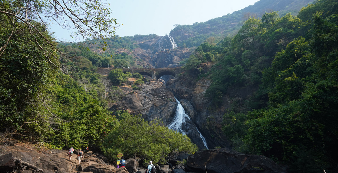 Dudhsagar Waterfalls in Goa