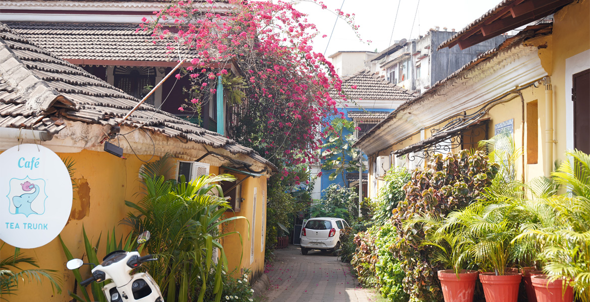 Colorful heritage street with plants in Fontainhas, Goa