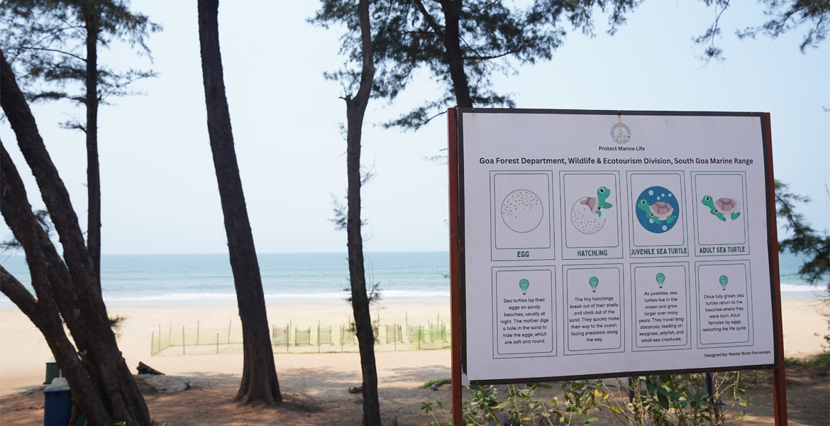 Sea turtle conservation information at Galgibaga Beach, Goa