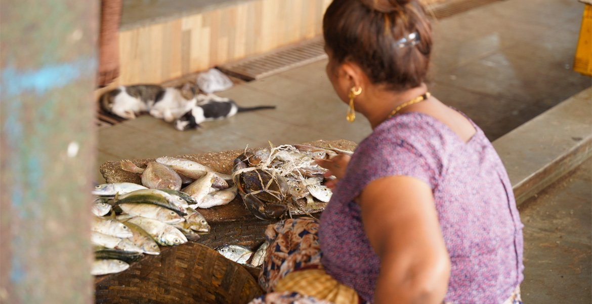 Goa fish market vendor selling fresh fish