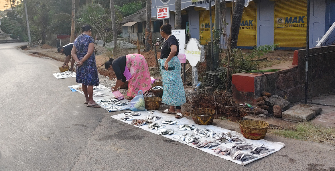 Goa roadside fish market with fresh fish displayed on mats