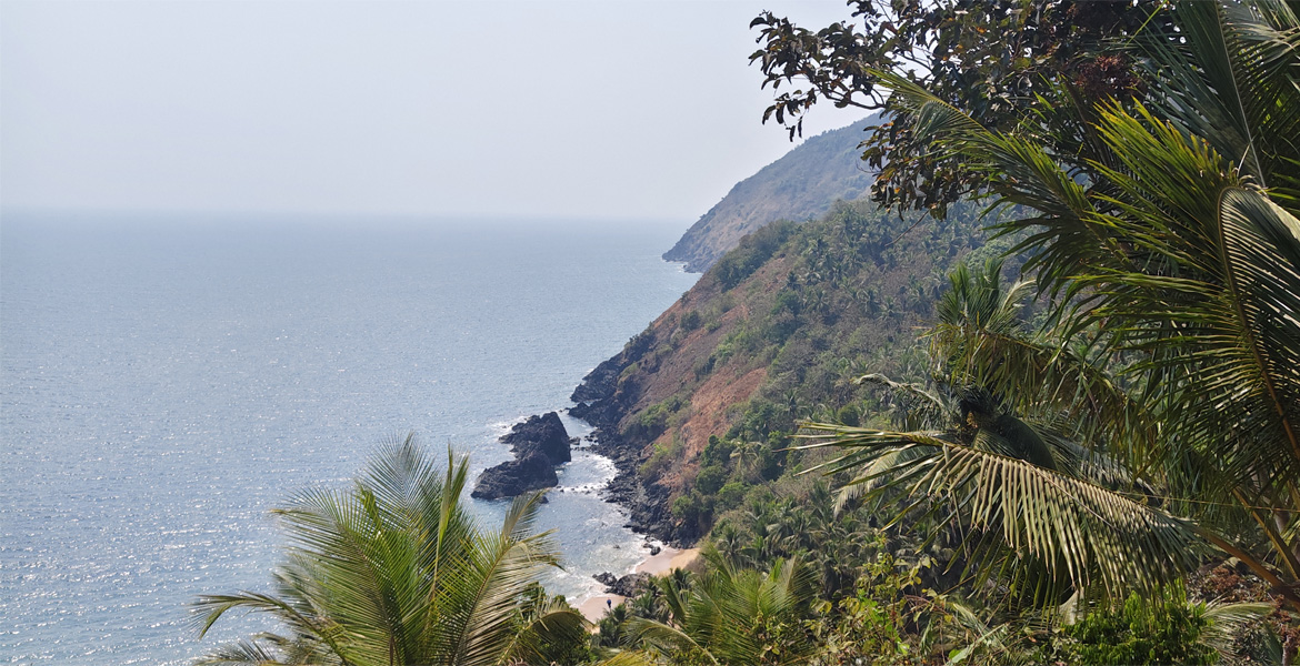 Palm trees and coastal cliffs at Kakolem Beach, Goa