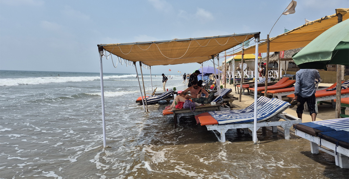 Sunbeds and beach shacks at Mandrem Beach, Goa