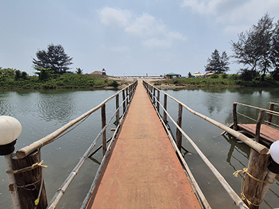 Wooden bridge crossing a lagoon leading to Mandrem Beach in North Goa with scenic coastal views