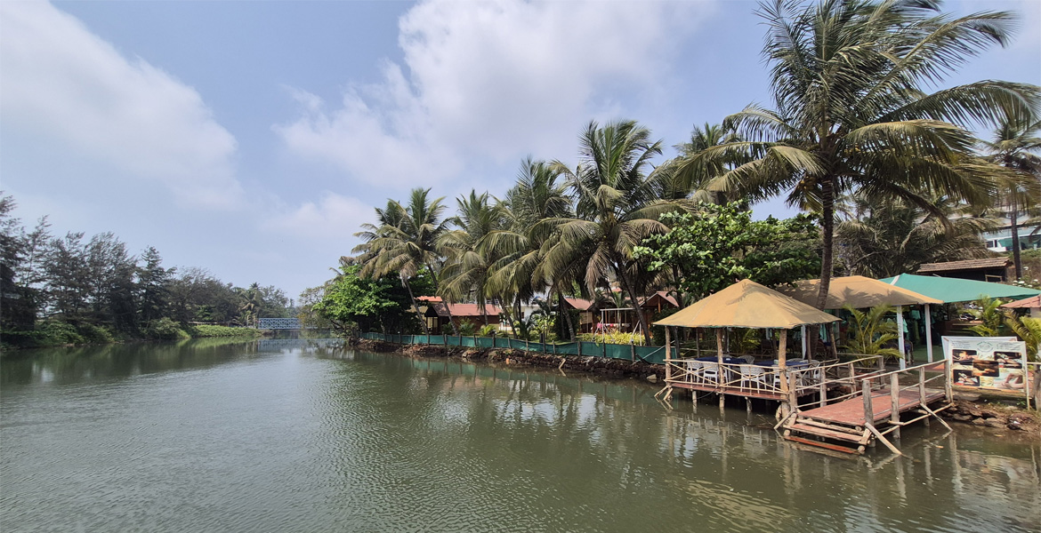 Mandrem River backwaters with palm trees near Mandrem Beach, Goa