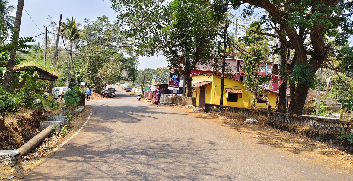 Village road in Mollem Goa