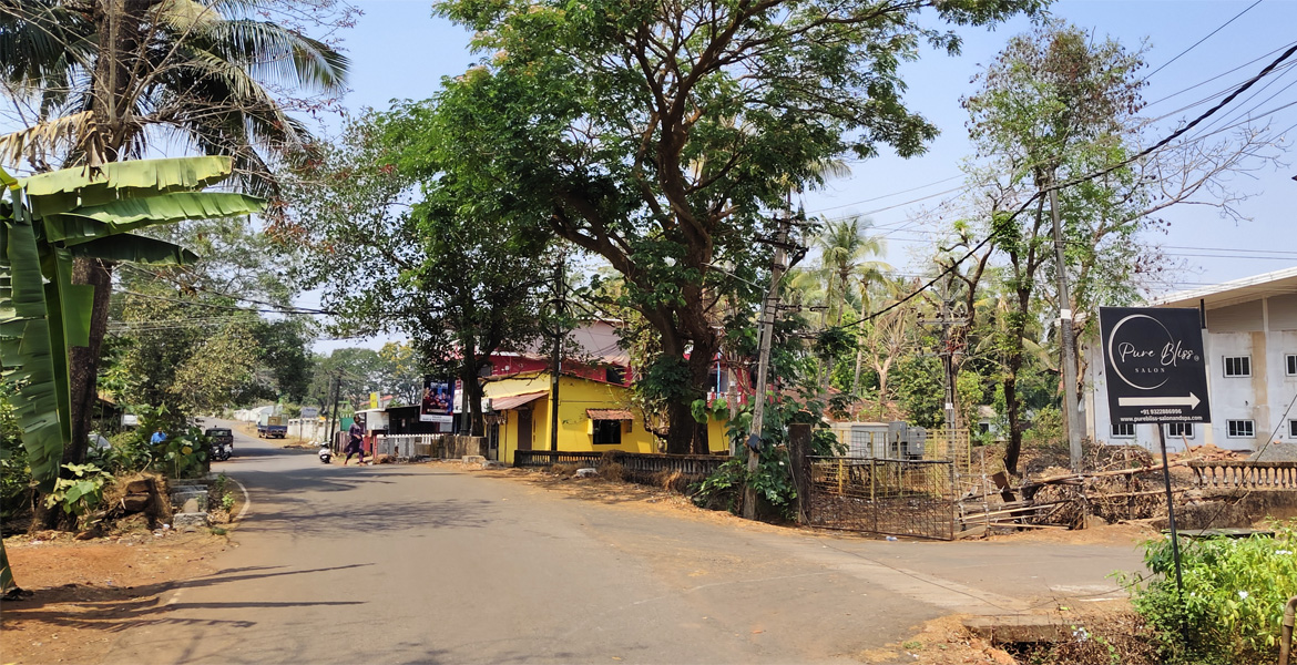Village road in Mollem Goa