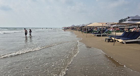 Morjim Beach shoreline with beach shacks and sun loungers