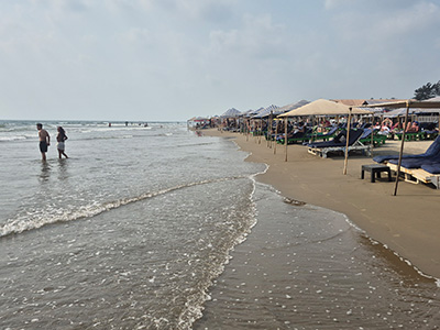 Morjim Beach Goa with beach shacks, sunbeds, and gentle waves along the sandy shoreline