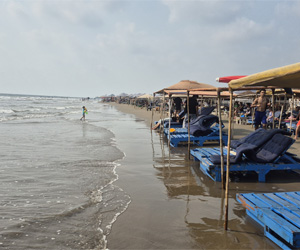 Beach shacks and sunbeds along Morjim Beach, Goa