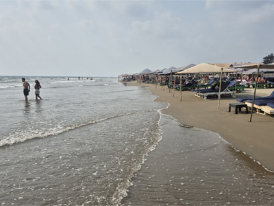 Beach shacks along Morjim Beach, Goa