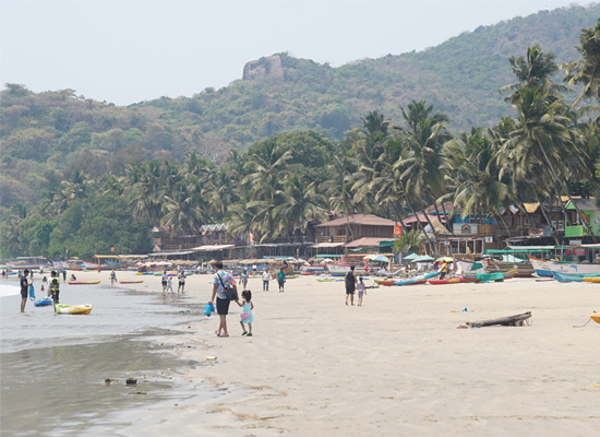 Palm trees and beach at Palolem Beach, Goa