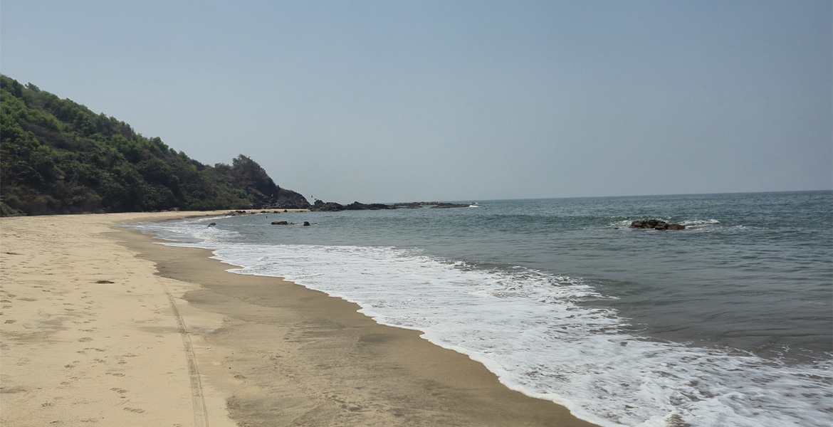 Sandy shoreline at Querim Beach, Goa
