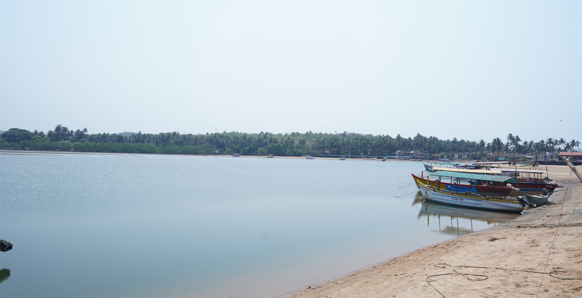 Boats on the backwaters at Rajbag Beach, Goa
