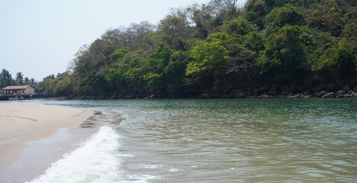 River mouth at Rajbag Beach, Goa