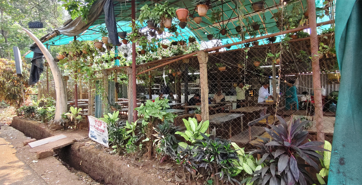 Garden-style restaurant near Dudhsagar Falls in Goa offering outdoor seating surrounded by lush greenery