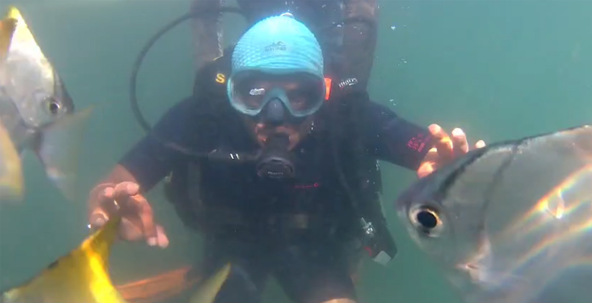 Scuba diver with fish in Goa