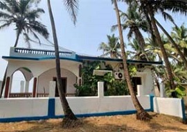 Beach house in Anjuna Goa with coconut trees surrounding the property and a white-and-blue exterior wall