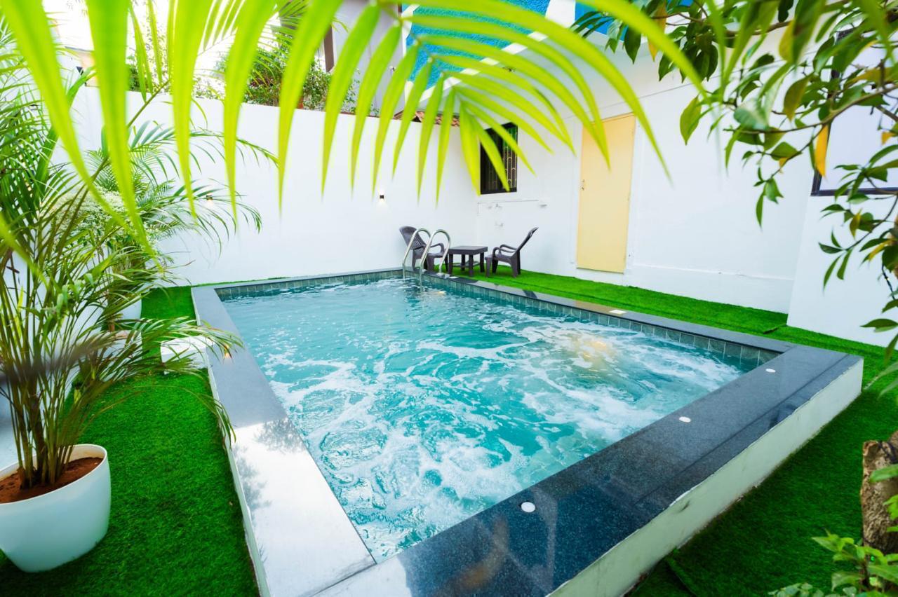 Private villa with a small swimming pool surrounded by green artificial grass and tropical plants