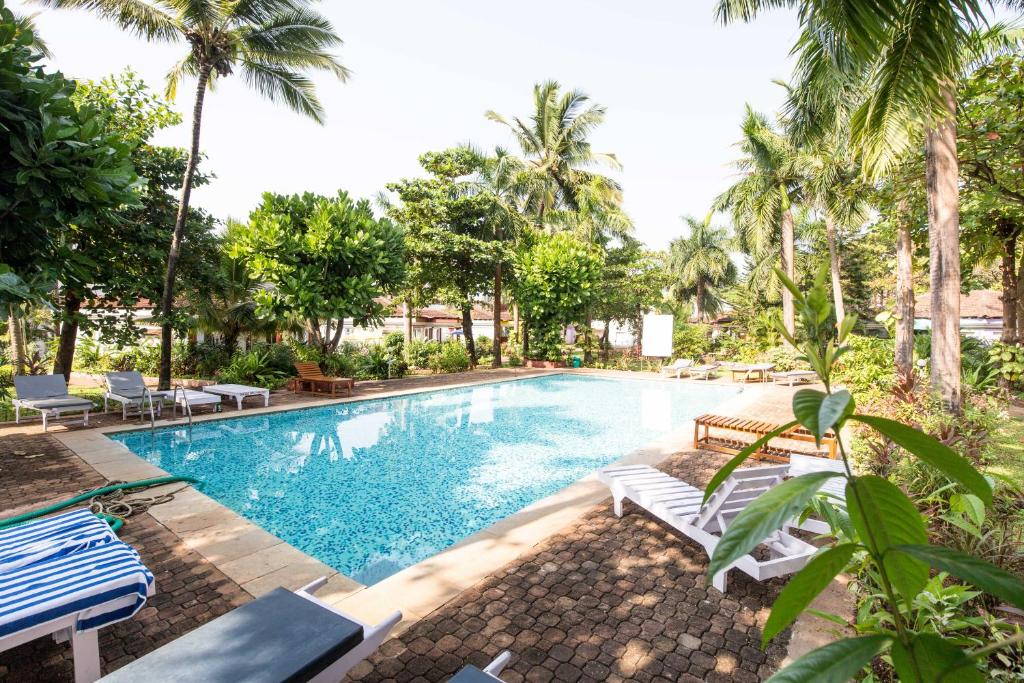 Swimming pool at Luxury villas Sunflower in Goa